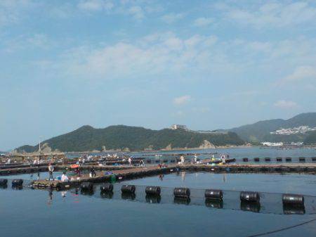 淡路じゃのひれフィッシングパーク 釣果