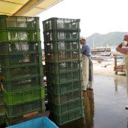 淡路じゃのひれフィッシングパーク 釣果