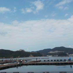 淡路じゃのひれフィッシングパーク 釣果