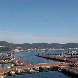 淡路じゃのひれフィッシングパーク 釣果