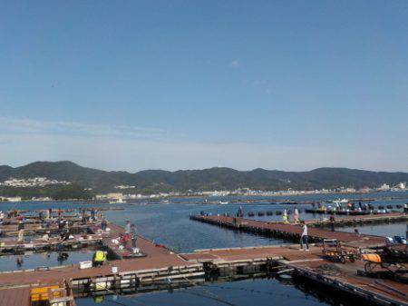 淡路じゃのひれフィッシングパーク 釣果