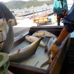 淡路じゃのひれフィッシングパーク 釣果