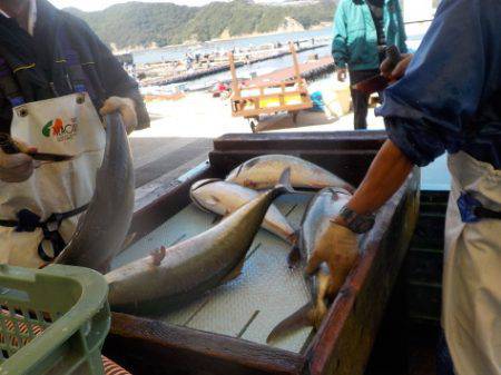淡路じゃのひれフィッシングパーク 釣果