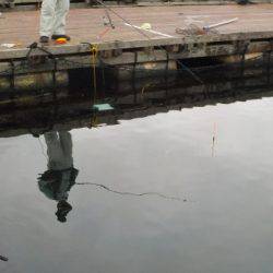 淡路じゃのひれフィッシングパーク 釣果