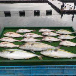 淡路じゃのひれフィッシングパーク 釣果