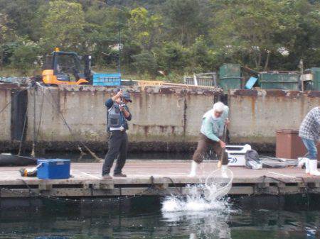 淡路じゃのひれフィッシングパーク 釣果