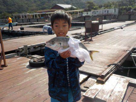 淡路じゃのひれフィッシングパーク 釣果