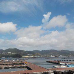 淡路じゃのひれフィッシングパーク 釣果