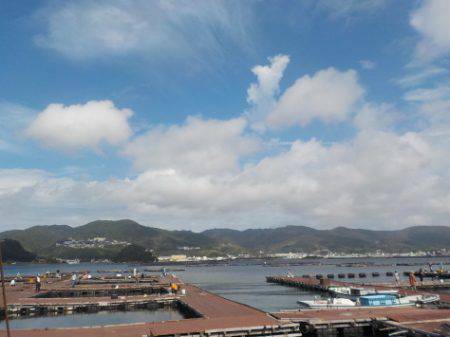 淡路じゃのひれフィッシングパーク 釣果