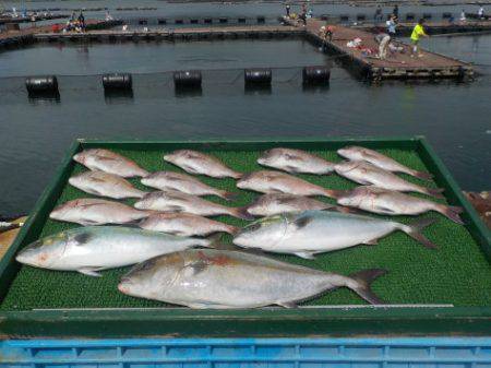 淡路じゃのひれフィッシングパーク 釣果