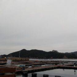 淡路じゃのひれフィッシングパーク 釣果