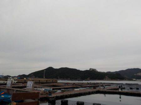 淡路じゃのひれフィッシングパーク 釣果