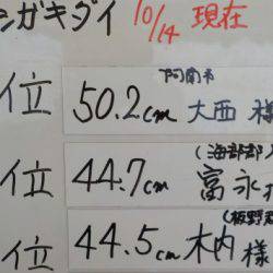 淡路じゃのひれフィッシングパーク 釣果