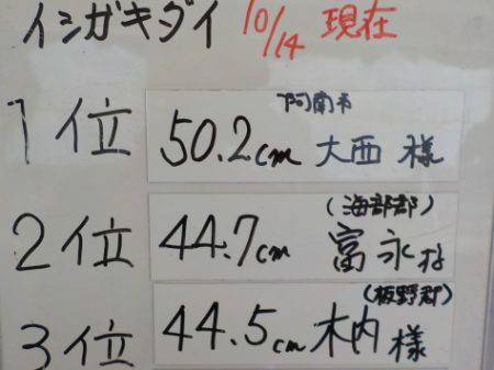 淡路じゃのひれフィッシングパーク 釣果