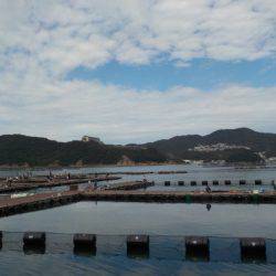 淡路じゃのひれフィッシングパーク 釣果