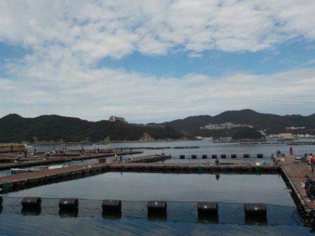 淡路じゃのひれフィッシングパーク 釣果