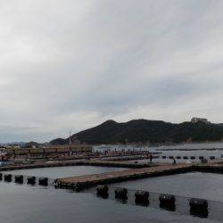 淡路じゃのひれフィッシングパーク 釣果