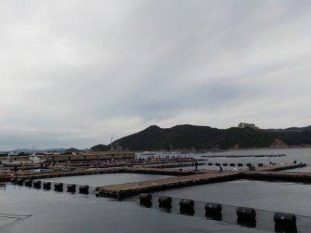 淡路じゃのひれフィッシングパーク 釣果