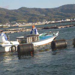 淡路じゃのひれフィッシングパーク 釣果