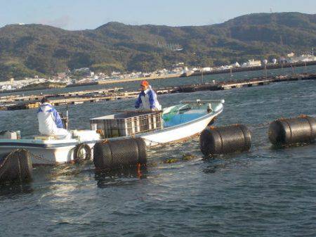 淡路じゃのひれフィッシングパーク 釣果