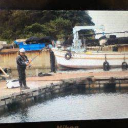 淡路じゃのひれフィッシングパーク 釣果