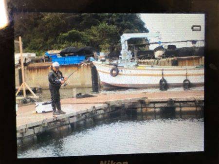 淡路じゃのひれフィッシングパーク 釣果