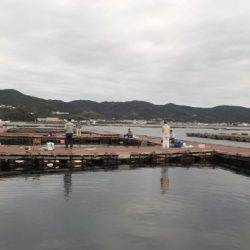 淡路じゃのひれフィッシングパーク 釣果