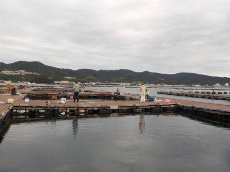 淡路じゃのひれフィッシングパーク 釣果