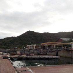 淡路じゃのひれフィッシングパーク 釣果