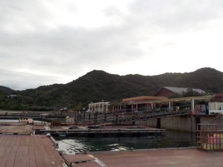 淡路じゃのひれフィッシングパーク 釣果