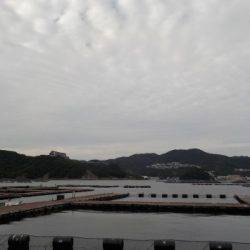 淡路じゃのひれフィッシングパーク 釣果