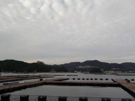 淡路じゃのひれフィッシングパーク 釣果