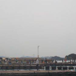 淡路じゃのひれフィッシングパーク 釣果