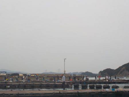 淡路じゃのひれフィッシングパーク 釣果