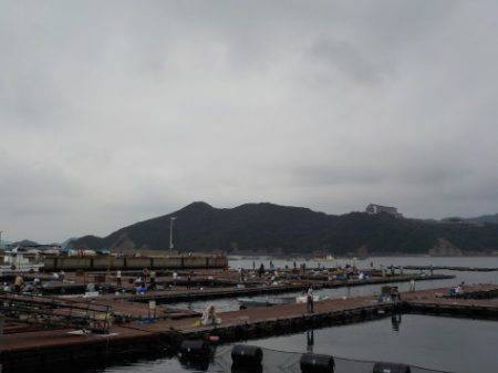 淡路じゃのひれフィッシングパーク 釣果