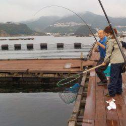 淡路じゃのひれフィッシングパーク 釣果