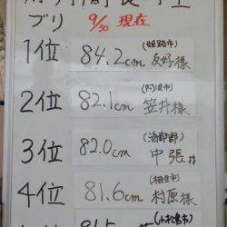 淡路じゃのひれフィッシングパーク 釣果