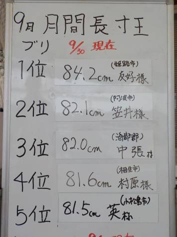 淡路じゃのひれフィッシングパーク 釣果