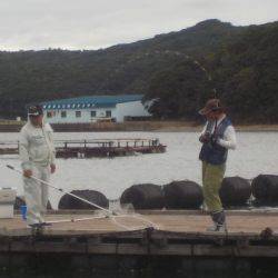 淡路じゃのひれフィッシングパーク 釣果