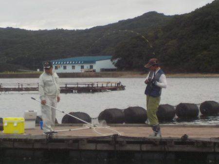 淡路じゃのひれフィッシングパーク 釣果