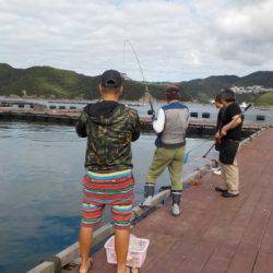 淡路じゃのひれフィッシングパーク 釣果