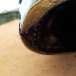 淡路じゃのひれフィッシングパーク 釣果