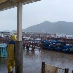 淡路じゃのひれフィッシングパーク 釣果