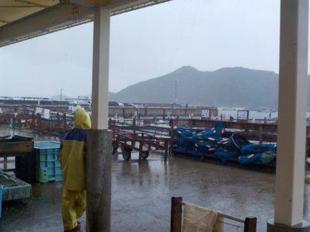 淡路じゃのひれフィッシングパーク 釣果