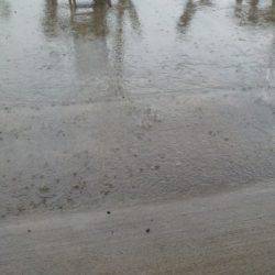 淡路じゃのひれフィッシングパーク 釣果