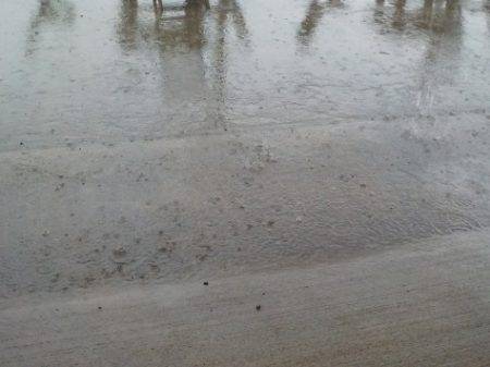 淡路じゃのひれフィッシングパーク 釣果