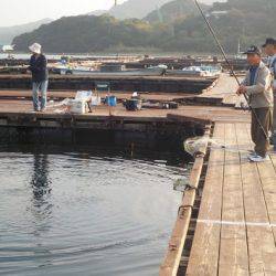 淡路じゃのひれフィッシングパーク 釣果