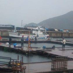 淡路じゃのひれフィッシングパーク 釣果