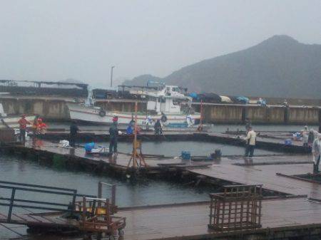 淡路じゃのひれフィッシングパーク 釣果