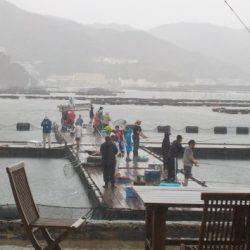 淡路じゃのひれフィッシングパーク 釣果